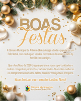 Boas Festas 