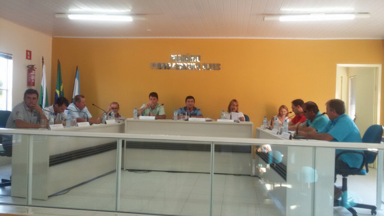 Resumo da 1ª sessão ordinária de 06/02/2017