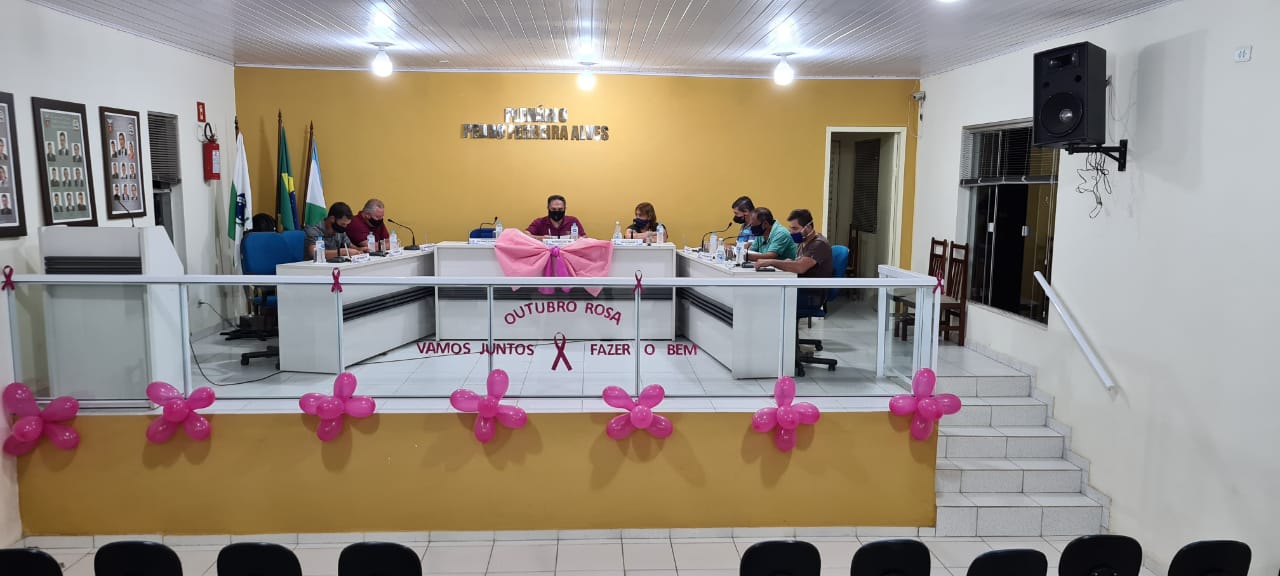 RESUMO DA 152º SESSÃO 05-10-2020