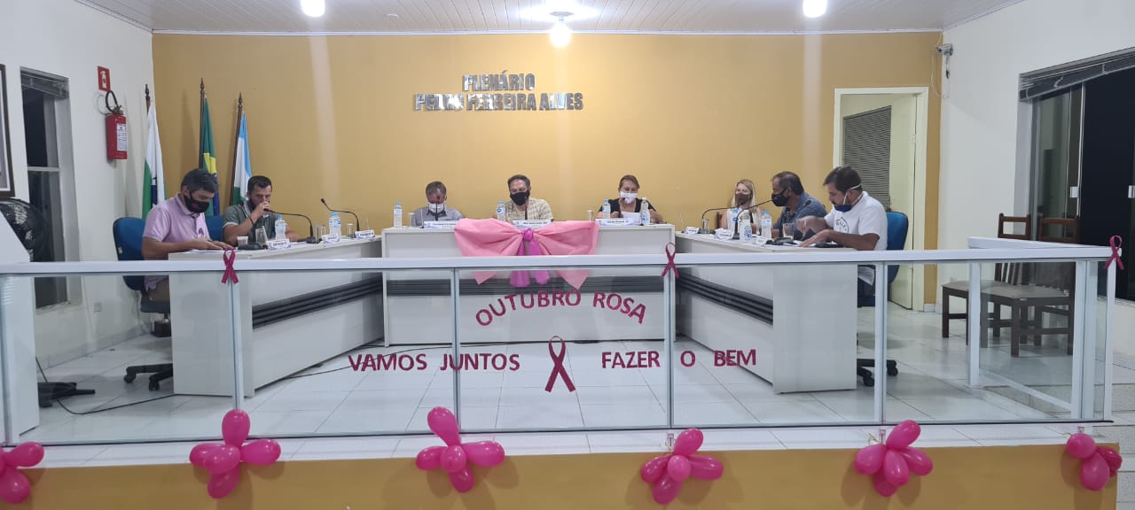 Resumo da 153º Sessão Ordinária 19-10-2020