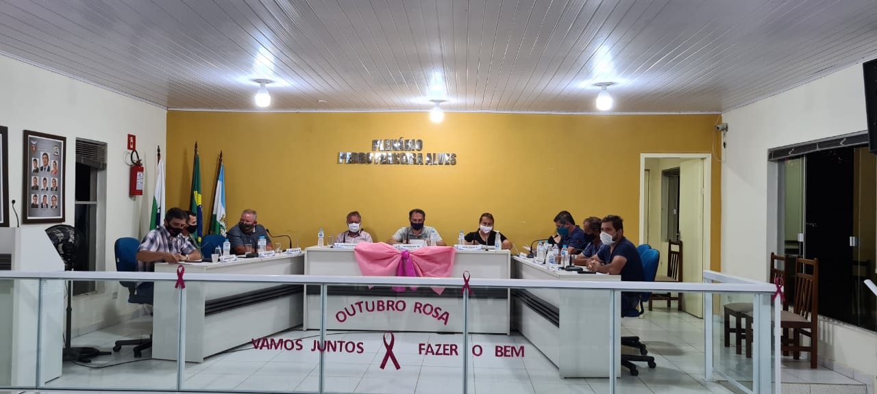 RESUMO DA 154º SESSÃO 26-10-2020