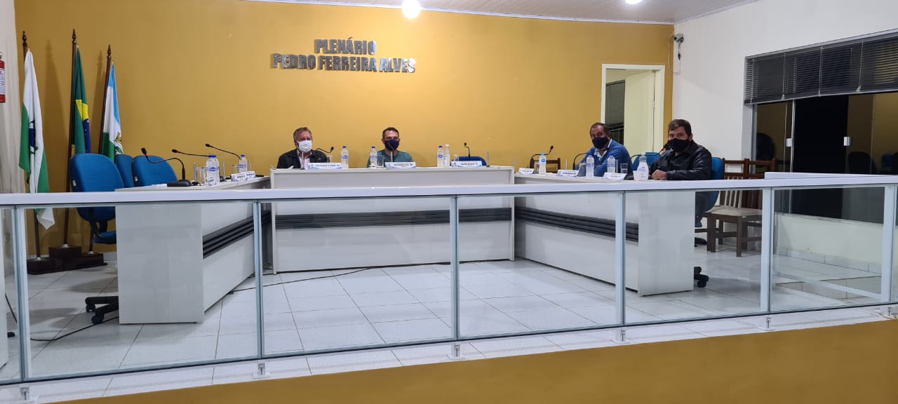 RESUMO DA 155º SESSÃO 09-11-2020